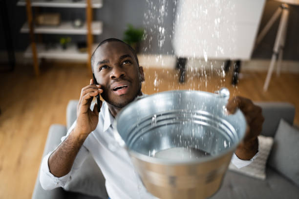 Best Flooded house restoration  in Riverside, IA