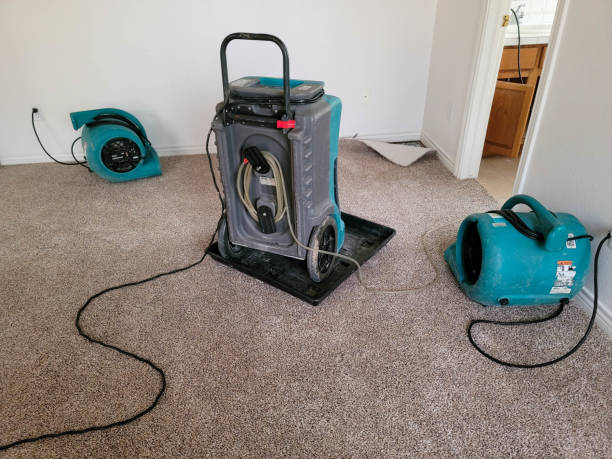 Best Water damage cleanup near me  in Riverside, IA