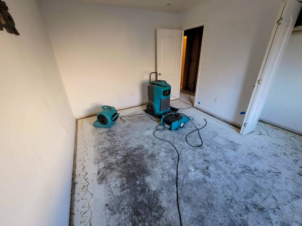 Best Flood damage cleanup  in Riverside, IA