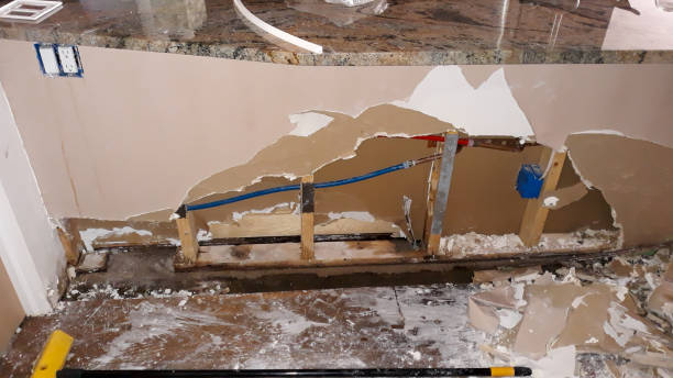 Best Professional water damage repair  in Riverside, IA