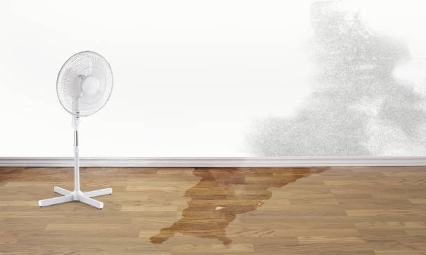 Best Emergency water damage restoration  in Riverside, IA