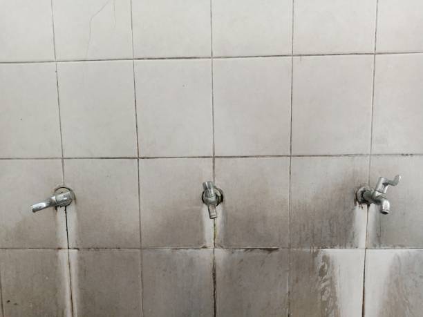 Best Flood restoration services  in Riverside, IA