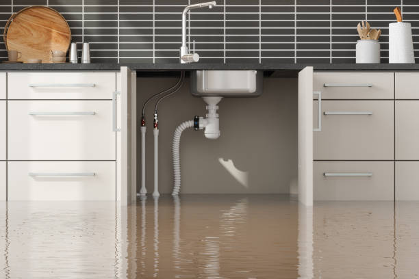 Best Professional water damage repair  in Riverside, IA