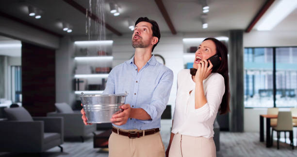  Riverside, IA Water damage restoration Pros