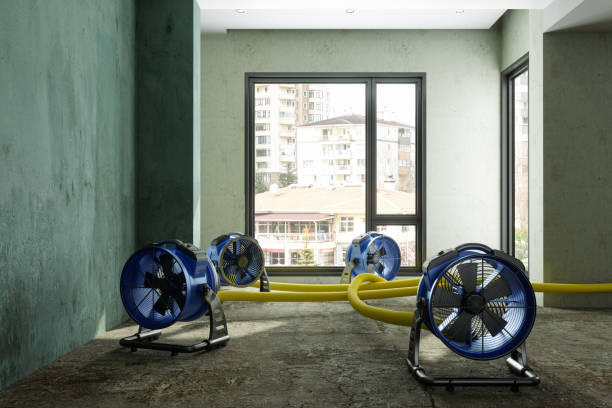 Best 24-hour water damage restoration  in Riverside, IA