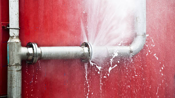 Best Carpet water damage restoration  in Riverside, IA