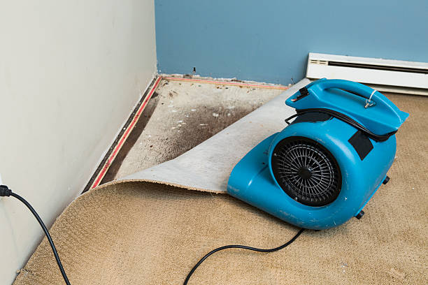 Best Water damage contractors near me  in Riverside, IA