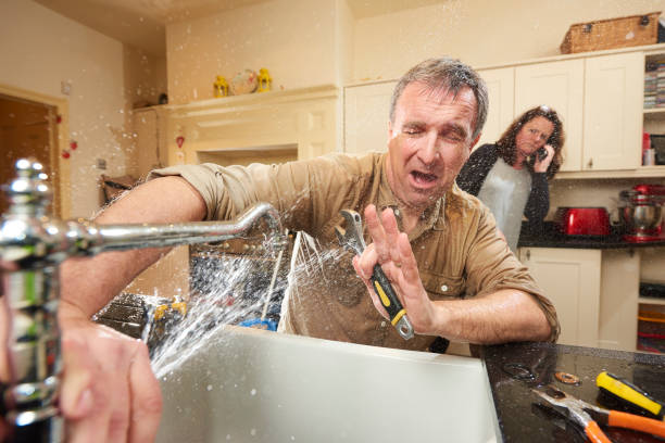 Best Basement water damage restoration  in Riverside, IA
